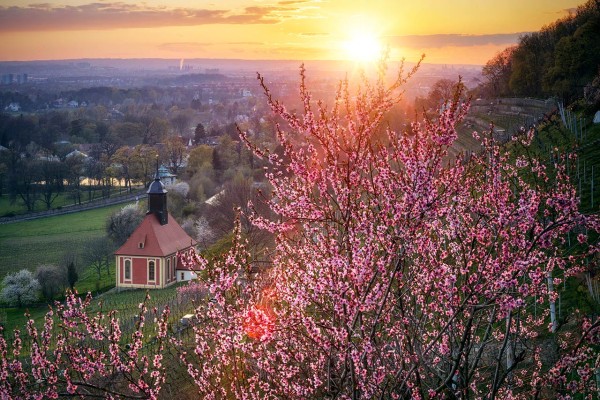 Wandbild Pillnitz - Weinbergkirche in Pillnitz zum Sonnenuntergang (Motiv 00919)