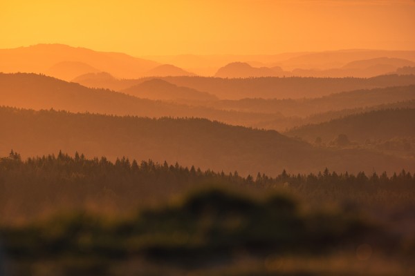 Wandbild Zittauer Gebirge - Blick von der Lausche in die Sächsische Schweiz (Motiv LV37)