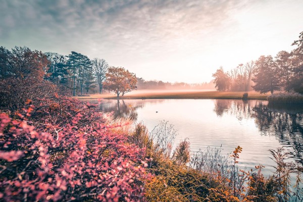 Wandbild Dresden - Großer Garten im Herbstlook (Motiv LV18)