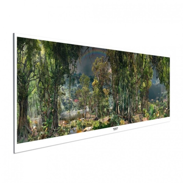 AMAZONIEN - Panoramaposter