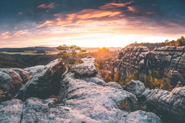 Wandbild Sächsische Schweiz - Brennender Sonnenuntergang - Blick auf eine Kiefer (Motiv LV03)