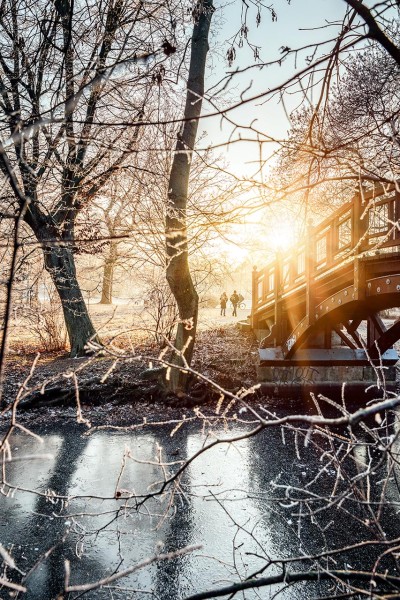 Wandbild Leipzig - Johannapark im Winter (Motiv PK13)