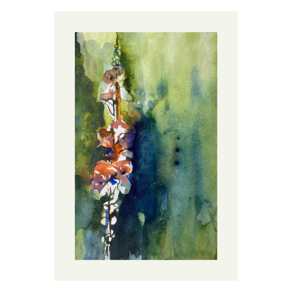 Aquarell - Löwenmäulchen
