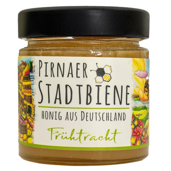 Honig Pirnaer Stadtbiene - Frühtracht