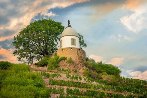 Wandbild Radebeul - Der Jacobstein (Motiv DMRAD40)