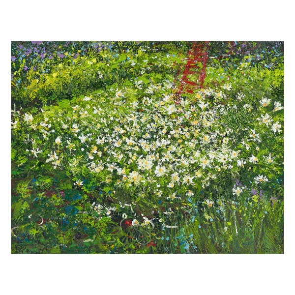 Elke Heber - Anemone nemorosa - Leiter aus dem Paradies