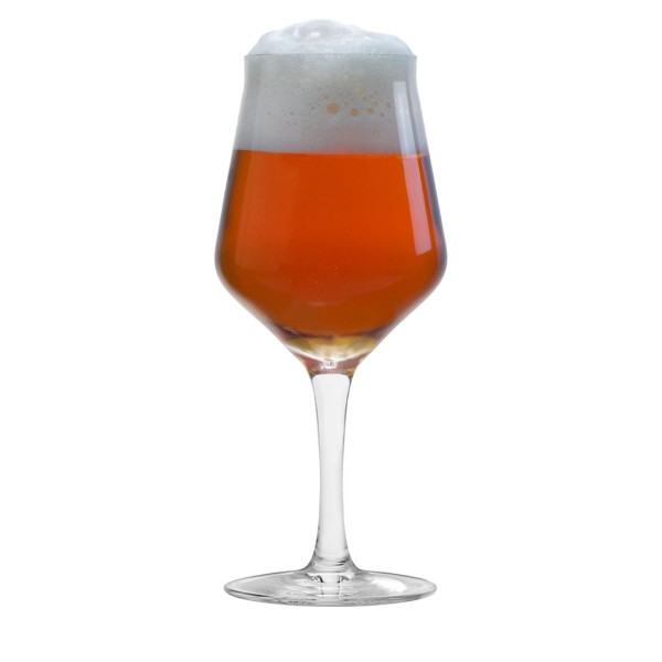 Stölzle Lausitz - Craft Beer Glas 0,30 l 6er-Set