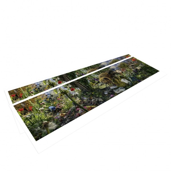 CAROLAS GARTEN  Panoramapostkarte