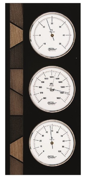 Fischer Wetterstation Edelstahl