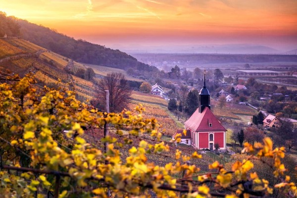 Wandbild Pillnitz - Die Weinbergkirche in Pillnitz zum Sonnenaufgang (Motiv 01019)