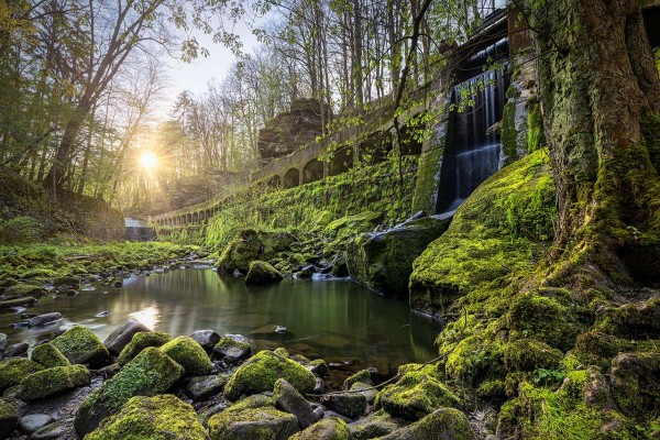 Wandbild Sächsische Schweiz - Die Lohmener Klamm zum Sonnenaufgang (Motiv 00923)