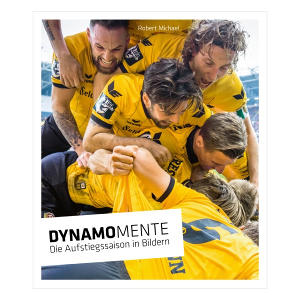 Dynamomente