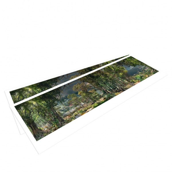AMAZONIEN  Panoramapostkarte