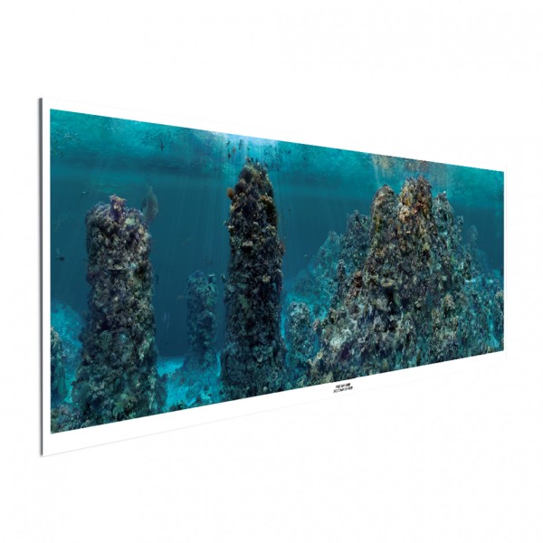 GREAT BARRIER REEF  Panoramaposter