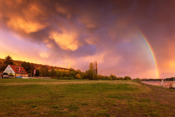 Wandbild Dresden - Elbufer in Loschwitz zum Sonnenuntergang (Motiv 00920)